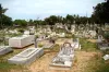 IT raids in graveyard - India TV Paisa