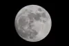 Super Snow Moon dazzles stargazers tonight- India TV Hindi
