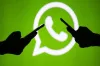 Congress-run WhatsApp group has 'Pakistan': Meenakshi Lekhi- India TV Hindi
