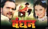 Bhojpuri Cinema- India TV Hindi