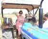 BJP MP and Mathura candidate Hema Malini drives a tractor in Govardhan- India TV Hindi