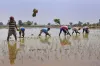 farmers- India TV Hindi