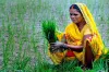 Rs 12305 cr disbursed so far to farmers under PM-KISAN scheme- India TV Hindi