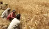 Farmers can now form cooperatives- India TV Hindi