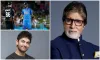 Bollywood celebrities reaction- India TV Hindi