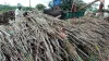 Fair and Remunerative Price of sugarcane- India TV Paisa