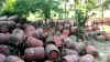 झाड़ियों में मिले हजारों गैस सिलेंडर, उत्तर प्रदेश में मचा हड़कंप- India TV Paisa