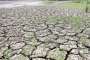 Deficit rains hit kharif sowing, coverage of major crops...- India TV Paisa