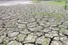 Deficit rains hit kharif sowing, coverage of major crops...- India TV Paisa