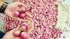 Onion to be sold Rs 23.90 per KG in Delhi by Saturday- India TV Paisa