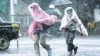 Heavy rainfall warning alert issued in 14 district in...- India TV Hindi