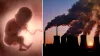 Prenatal pollution exposure linked to reduced heart stress response in infants says Stud- India TV Hindi