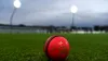 Pink ball test: curator Daljeet advised to keep more grass on the pitch, the match can start at this- India TV Paisa