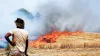 सर्दियां शुरू होने से पहले ही मंडराया दिल्ली पर खतरा, करनाल में किसान जला रहे पराली- India TV Hindi