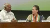 Congress, Congress CWC, Congress Shiv Sena, Sonia Gandhi CWC Meeting, Congress CWC- India TV Hindi