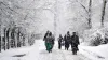 कश्मीर में सीज़न का पहली बर्फबारी के साथ सर्दियों का आगमन, सैलानियों की मस्ती- India TV Paisa
