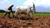 Maharashtra Farmer File Photo- India TV Hindi