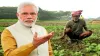 Modi government plans a massive data bank to directly connect with 11.5 crore farmers- India TV Hindi