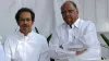 Shiv Sena CM, Shiv Sena NCP, Maharashtra CM, Sharad Pawar NCP- India TV Hindi