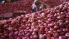 MMTC contracts to import 6,090 tonnes onion to boost supply, cut prices- India TV Hindi
