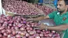Onion's retail price reached 120 rupees a kg- India TV Hindi