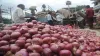 Onion price- India TV Paisa