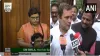 BJP MP Pragya Thakur has given a privilege notice against Congress MP Rahul Gandhi- India TV Hindi