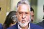 Vijay Mallya । File Photo- India TV Paisa