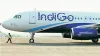 Pilot becomes passenger of indigo made safe landing at...- India TV Paisa