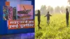 locusts attack- India TV Hindi