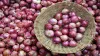 WB orders 800 tonne imported onion as prices inch closer to Rs 150 per kg- India TV Hindi