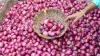 Onion prices rise by 400 percent after March, prices of all...- India TV Paisa