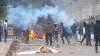 Seelampur, Seelampur Protest, Seelampur Petrol Bomb, Seelampur Violence- India TV Hindi