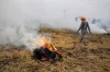 खेत में जलती पराली - India TV Hindi