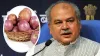 Narendra Singh Tomar, onion price- India TV Hindi