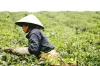 China ordered to increase food production amid Corona virus...- India TV Hindi