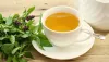 Basil green tea, weight loss- India TV Hindi