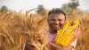 yogi govt approves cm farmer accident welfare scheme- India TV Hindi