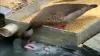 video of fish and duck- India TV Hindi