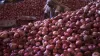 Govt plans to sell imported onion at Rs 22-23kg to avoid rotting at port- India TV Paisa