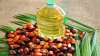 Govt puts restrictions on import of refined palm oil- India TV Paisa