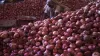Government, exports, Krishnapuram onions- India TV Paisa