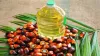 India, import, refined palm oil - India TV Paisa