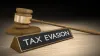 Finance Minister, Nirmala Sitharaman, tax evasion, Budget 2020 - India TV Paisa