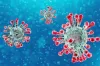 Coronavirus: सिंगापुर में 52 नए पॉजिटिव केस, कुल 683 मामले सामने आए - India TV Hindi