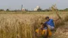 Supreme Court, Centre, farmers, harvest Rabi crop, police harassment - India TV Hindi