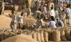 Wheat Procurement- India TV Hindi