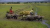 Farmers- India TV Hindi
