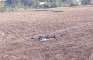 At about 5:10 am, a Pakistani spy drone was shot down by...- India TV Hindi