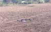 At about 5:10 am, a Pakistani spy drone was shot down by...- India TV Hindi